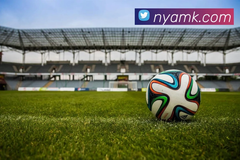 App Interface Preview